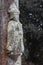 Ancient stone column of Saint James on tree background. Patron of pilgrims. Symbol of Camino de Santiago the way of Saint Jacob.