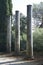 Ancient stone columns in the park of Golden Cape Forest Park Zlatni rt, Rovinj.