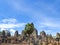 Ancient stone faces of Bayon temple, Angkor, Siem Reap, Cambodia. September 1, 2015