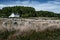 Ancient Stone Field Alignements De Menhir Carnac With Neolithic Megaliths And Old Cottage In Brittany, France