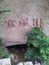 Ancient stone inscriptions in Laoshan Scenic Area  Qingdao City  Shandong Province  China