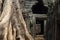 Ancient stone ruin of Banteay Kdei temple, Angkor Wat. Ancient temple debris and old tree. Angkor Wat detail.