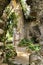 Ancient stone ruins in a leafy garden of Sintra