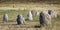 Ancient stone sculptures near Old Burana tower located on famous