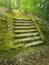 Ancient stone stair steps in the woods covered by green moss. Mysterious fairytale scene with an old stairway