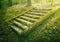 Ancient stone stair steps in the woods covered by green moss. Mysterious fairytale scene with an old stairway