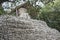 Ancient stone structure at Coba Mayan Ruins, Mexico