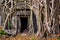 Ancient stone temple door and tree roots