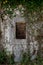 Ancient stone wall with window and old ivy climbing on it. Abandoned mysterious place. The picture was taken in neglected