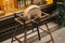 Ancient stone wheels on wooden structures at the entrance to the store with Christmas decorated showcase. Decorative