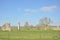 Ancient stones on a field. Avebury.  England