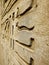 Ancient symbols hieroglyphics