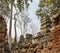 Ancient Ta Prohm temple, Angkor Thom, Siem Reap, Cambodia.