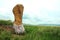 An ancient tall stone with many ribbons at its base stands in the steppe in the tall grass