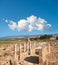 Ancient temple columns in Kato Paphos Archaeological Park, Cyprus