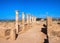 Ancient temple columns in Kato Paphos Archaeological Park in Pap