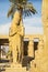 The Ancient Temple Complex of Karnak near Luxor in the Nile Valley in Egypt