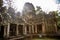 Ancient temple ruins in the jungles of Siem Reap