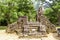 Ancient Temple Ruins In My Son Sanctuary, Vietnam.