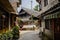 Ancient tile-roofed house behind stone wall in sunny spring