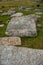 Ancient Tomb Stones in Stecci in Durmitor National Park