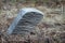 Ancient tombstone with Arabic inscriptions