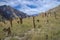 Ancient tombstones in the shape of sword hilts at the Muslim cemetery. Gimry. Dagestan