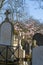 Ancient tombstones, statue and religious symbols with springtime magnolia tree