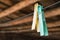 Ancient tools of old wooden fishing hutch - two yellow laundry pins on blue rope.