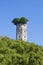 Ancient tower surrounded by lush green trees, Jiangxin Island, Wenzhou, Zhejiang Province, China