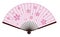 Ancient Traditional Asian Fan with Sakura On It