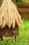 Ancient traditional beehive with hay roof