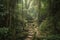 ancient trail through dense jungle, leading to hidden temple