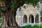 An ancient tree in front of very old building