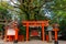 Ancient tree and Japanese shrine