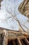 Ancient tree root growing along the roof of Ta Prohm temple, Angkor Thom, Siem Reap, Cambodia.