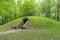 Ancient tumulus on a display for visitors.