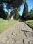 Ancient Via Appia Antica to Rome in Italy.