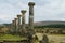 Ancient Volubilis town columns