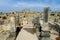 Ancient Volubilis town ruins, arch and columns