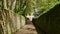 An ancient walkway leading to the ruin of an old church in Devon England