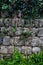 Ancient wall of gray stones entwined with green ivy