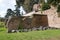 Ancient wall on Palatine Hill