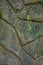 Ancient, weathered carved stone blocks. Decorative masonry overgrown, green moss