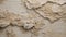 Ancient Whispers: Fossilized Limestone Background. AI generate