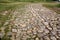 Ancient winding road paved with cobblestone .