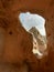 Ancient window carved into sandstone caves