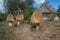 Ancient wooden bee hives