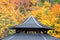 Ancient wooden roofing detail with autumn foliage background