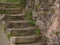 Ancient, worn stone staircase in Porto, Portugal with plants growing in cracks and old stone wall in background